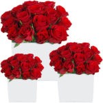 red roses