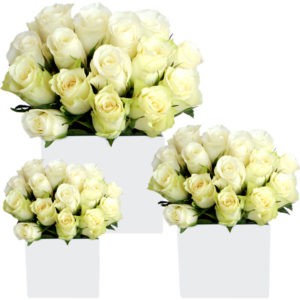 white roses